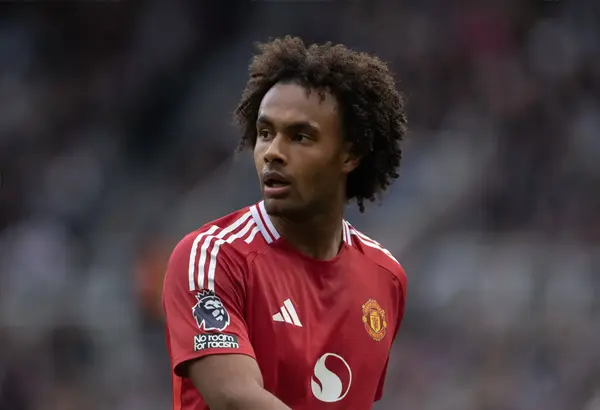 EXCLUSIVE: Zirkzee, De Ligt And All Of Last Summer’s Signings Rated By United Legend